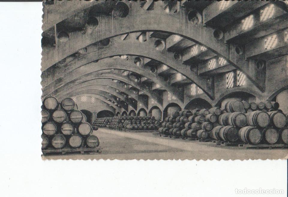 Postales: Postal-Postcard 17500: CASA CODORNIU - Bodega de caves CODORNIU - Varios