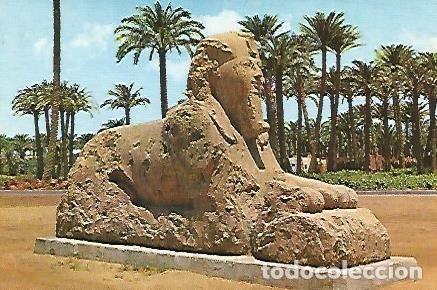 Postales: POSTAL 53174: MEMPHIS. La esfinge de alabastro - Varios - Foto 1