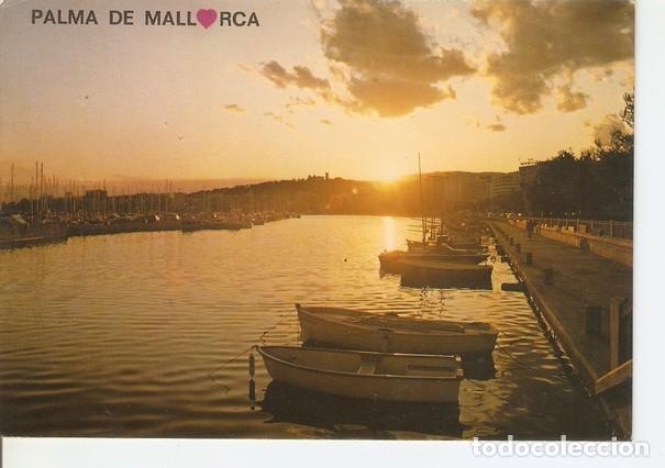 Cartoline: Postal 047131 : Palma de Mallorca - Varios