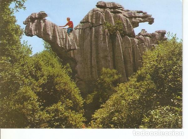 Postais: Postal 047572 : Mallorca. Lluch. El Camello - Varios