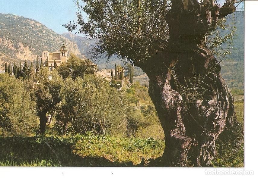Postkarten: Postal 028768 : Valldemosa, Mallorca - Varios