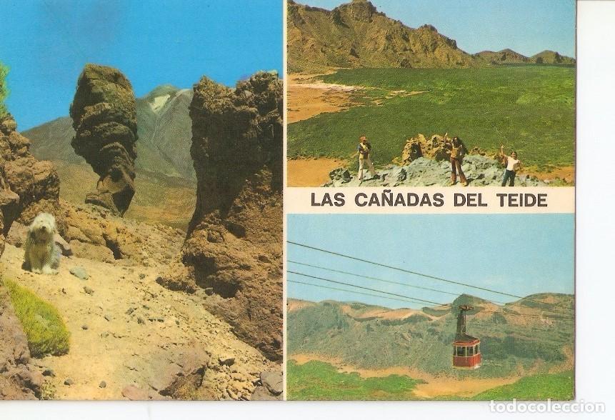 Cartoline: Postal 030486 : Las Ca&ntilde;adas del teide (Tenerife) - Varios