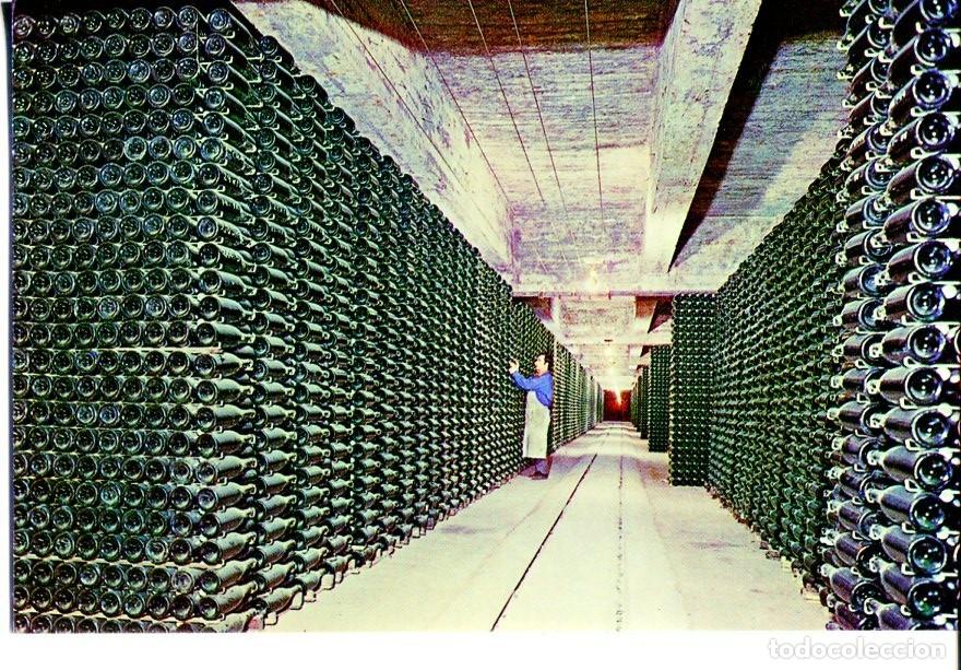 Postales: Postal 016648: CAVAS CODORNIU - Botellas envejeciendo - Varios