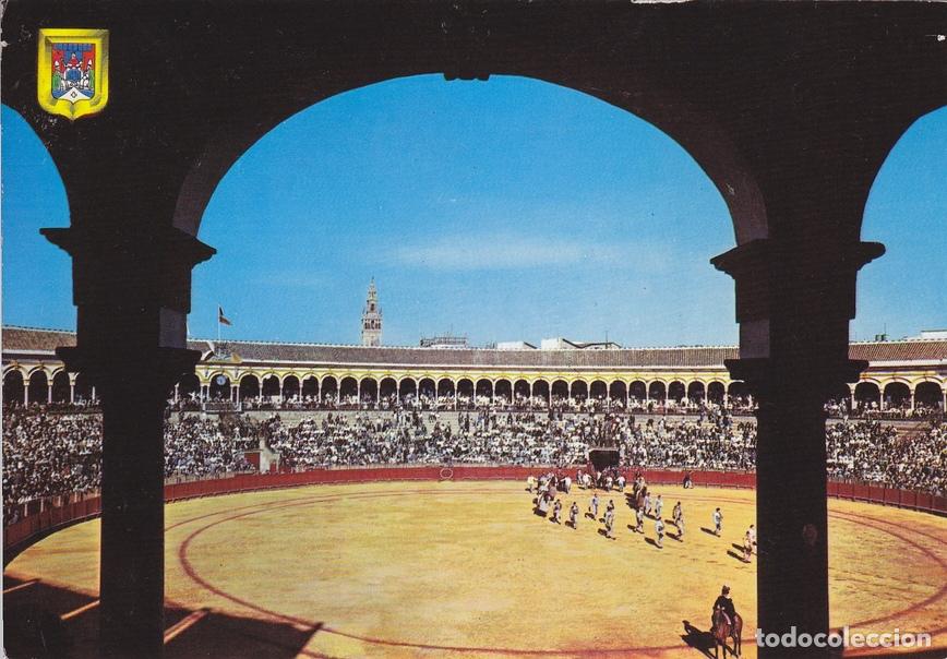 Postais: Postal 60764: Plaza de tors. La maestranza (Sevilla) - Varios