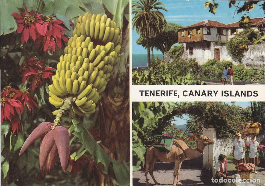 Postais: Postal 60770: Varios motivos (Tenerife) - Varios