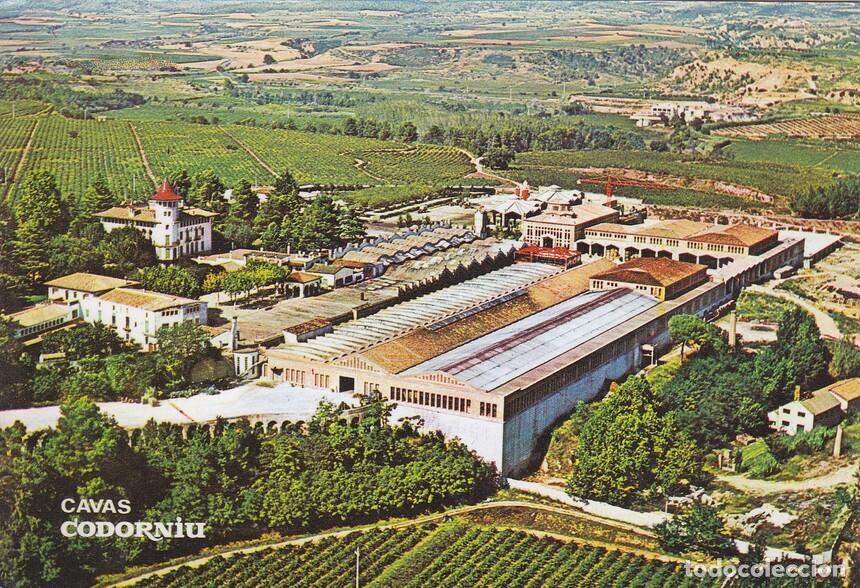 Postales: Postal 60848: Publicitaria Exteriores Cavas de Codorniu. - Varios