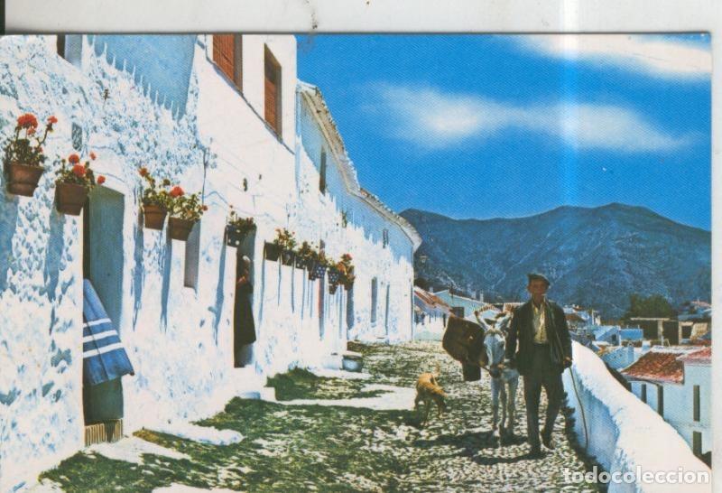 Postales: Postal 010412: Calle tipica de Mijas en Malaga - Varios