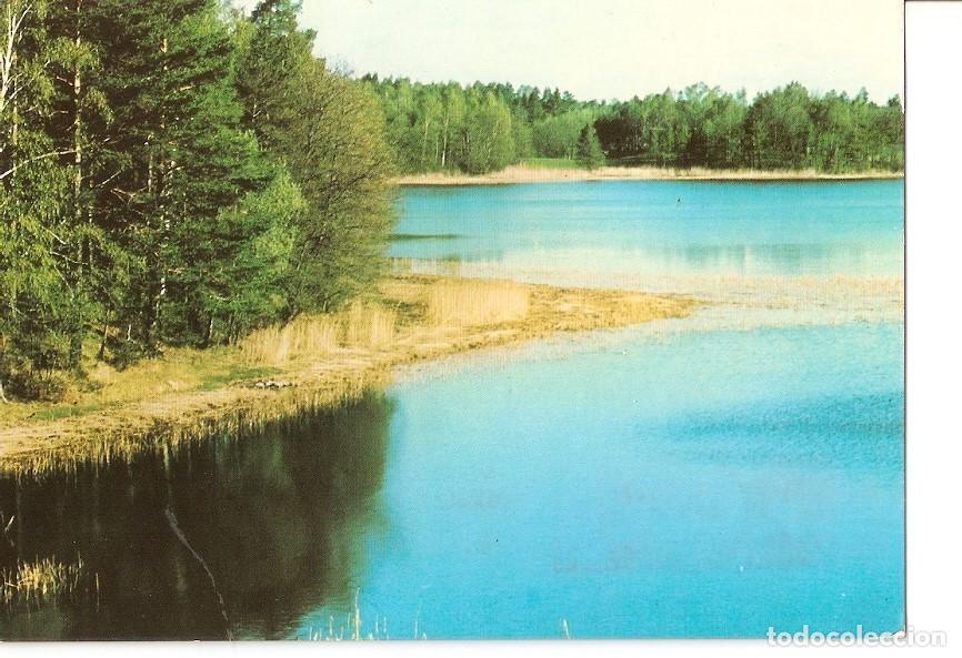 Postales: Postal 028256 : Abetos junto al lago Runn (Estocolmo) - Varios