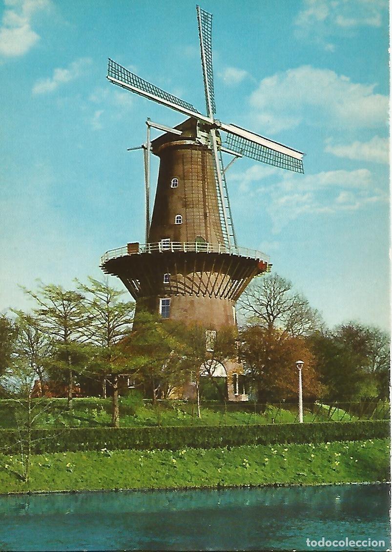 Postais: Postal 51357: ROTTERDAM - Molino - Varios