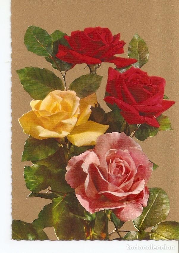 Postales: Postal 034937 : Rosas - Varios - Foto 1