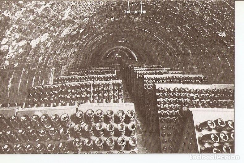 Postais: Postal 035809 : Casa Codorniu - San sadurni de Noya (Espa&ntilde;a). Botellas en pupitre - Varios