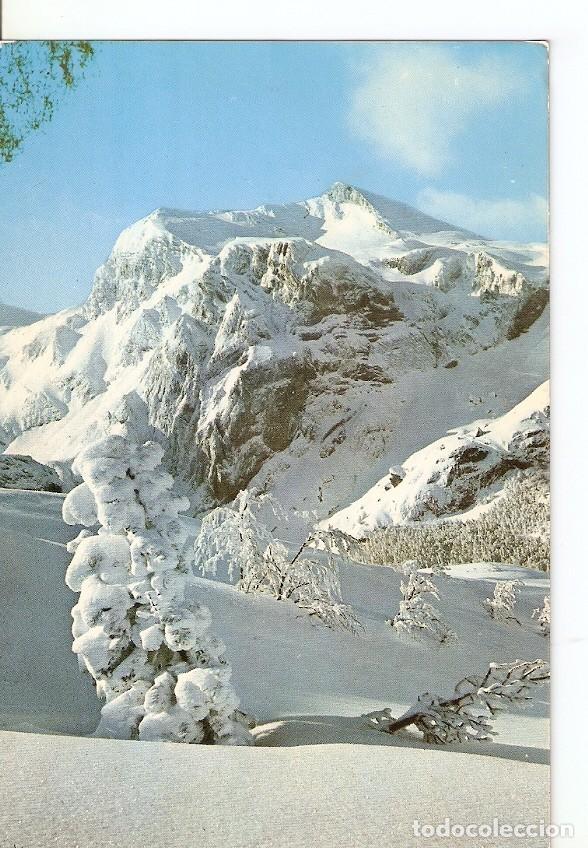 Cartoline: Postal 041394 : Canfranc-Candanchu. Estacion Invernal. Bosque de las Hayas - Varios