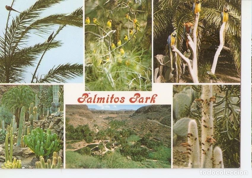 Postais: Postal 044774 : Palmitos Park. Las Palmas de Gran Canaria - Varios