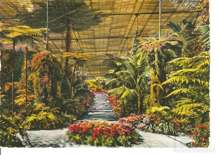 Postales: Postal 034815 : Lisboa. Estufa Fria - Varios