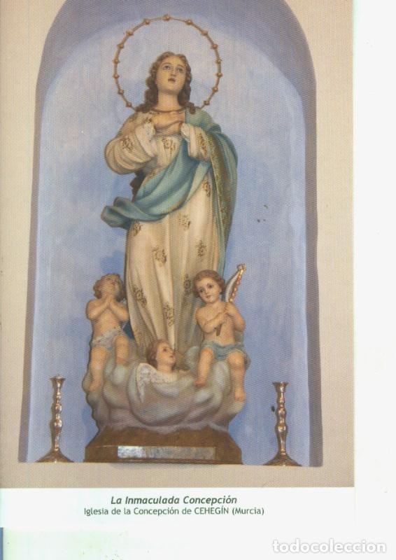 Postales: Postal 014614: Virgen La Inmaculada Concepcion - Varios