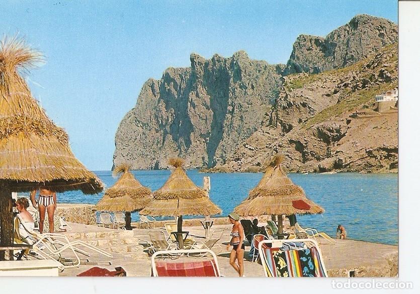 Postkarten: Postal 040365 : Cala San Vicente Mallorca. Detalle - Varios