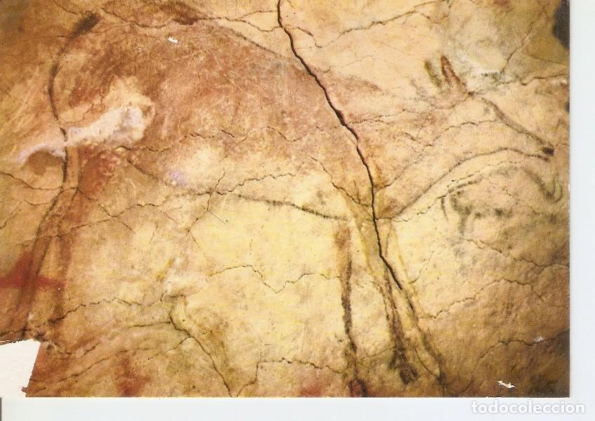 Postkarten: Postal 045624 : Ciervo. Cueva de Altamira. Santillana del Mar. Santander - Varios