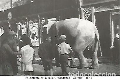 Postais: POSTAL 55017: Gerona. Calle Ciudadanos a&ntilde;os 20 - Varios