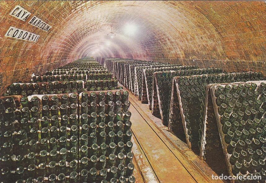 Postales: Postal 60853: Publicitaria. Botellas en pupitre. Cavas de Codorniu. - Varios
