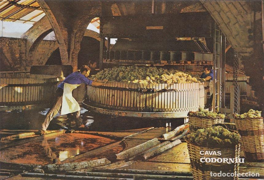 Postales: Postal 60849: Publicitaria Prensado de la uva. Cavas de Codorniu. - Varios