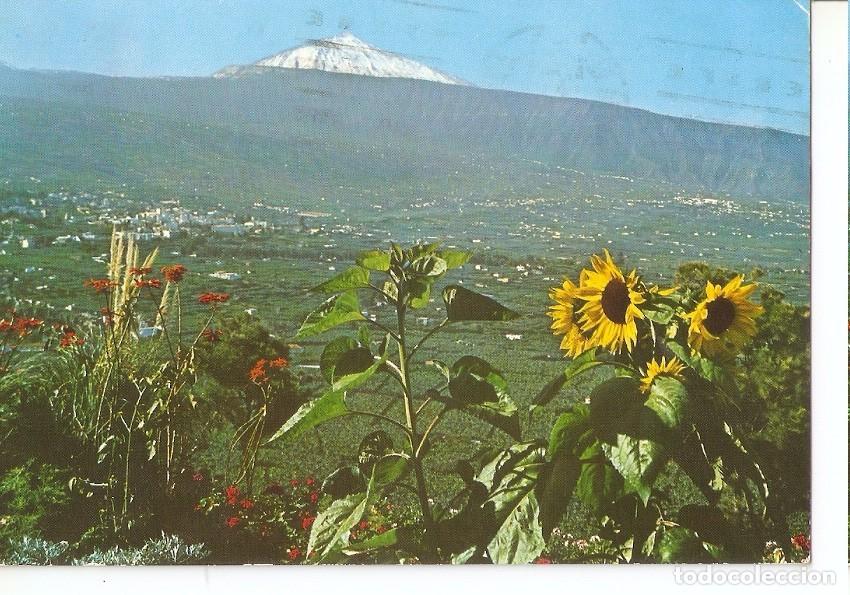 Cartoline: Postal 045191 : Tenerife. Valle de la Orotova y Teide - Varios