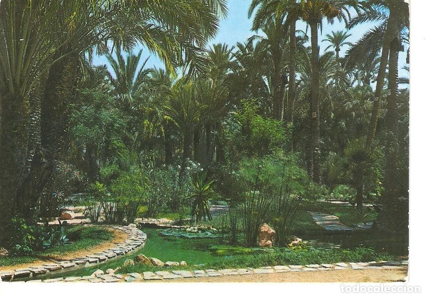 Postkarten: Postal 024984 : Huerta del Cura. Estanque tropical. Elche - Varios