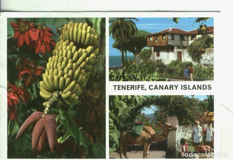 Postais: Postal 4354 : Tenerife, Canary Islands - Varios
