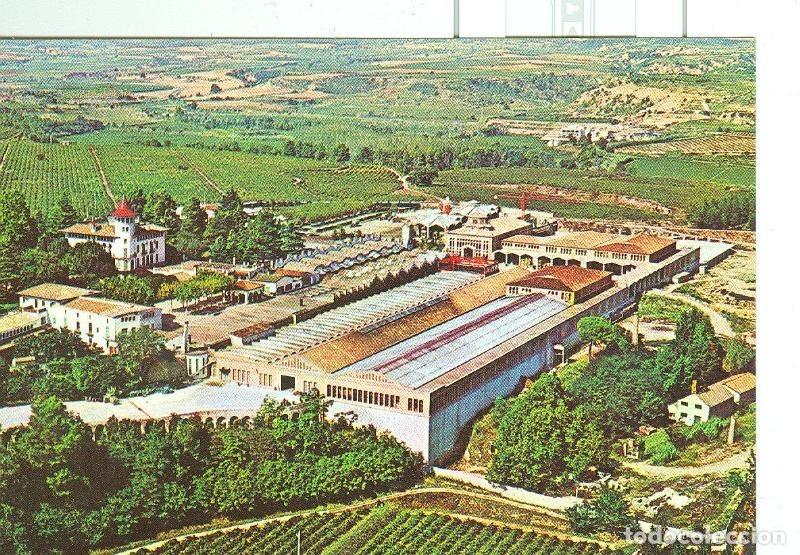 Postales: Postal 6303 : Cava Codorniu, vista general - Varios