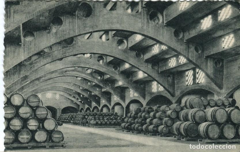 Postales: Postal-Postcard 17293: CASA CODORNIU - Sant Sadurni dAnoia - Vista de bodega - Varios