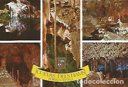 Postkarten: POSTAL 55900: MALLORCA. Porto Cristo. Cuevas dels Hams - Varios