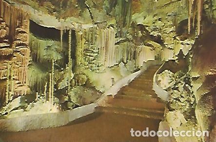 Postales: POSTAL 55917: MALLORCA. Cuevas - Varios - Foto 1