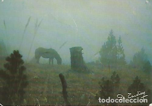 Postales: POSTAL 55984: ANDORRA. - Varios - Foto 1