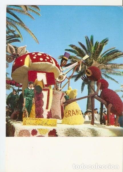 Postkarten: Postal 046994 : Ventimiglia - Riviera dei Fiori. Flowers Battle - The car The cicade and the ant -