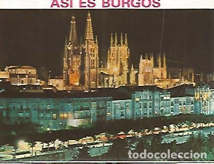 Postkarten: POSTAL 55995: BURGOS. Avenida del Generalisimo Franco - Varios