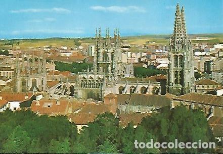 Postcards: POSTAL 56013: BURGOS. Catedral - Varios