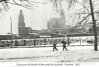 Postales: POSTAL 55063: Gerona. Mercado del ganado - Varios