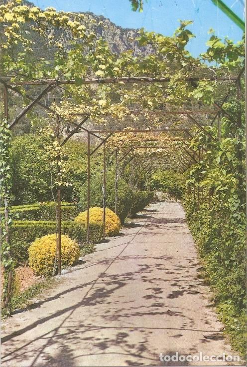 Postais: Postal 048454 : Alfabia. Mallorca. Pergola - Varios