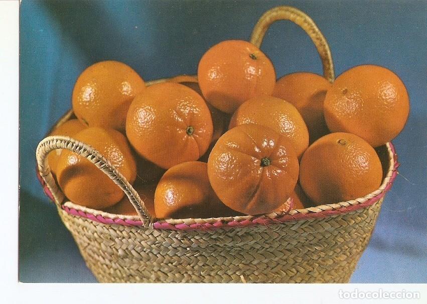 Postkarten: Postal 029284 : Valencia. Naranjas - Varios