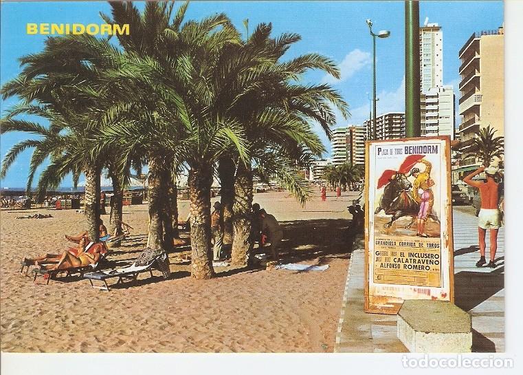 Postales: Postal 049228 : Benidorm (Espa&ntilde;a) - Varios