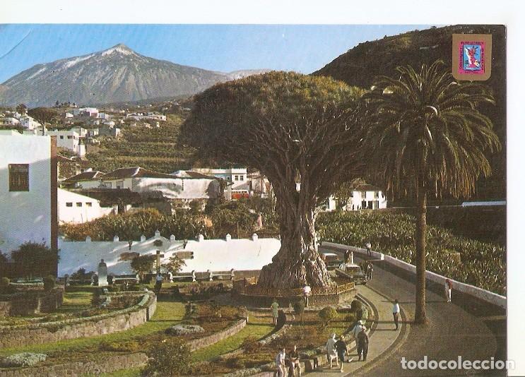 Postais: Postal 049371 : Icod de los Vinos (Tenerife). El Drago Milenario - Varios