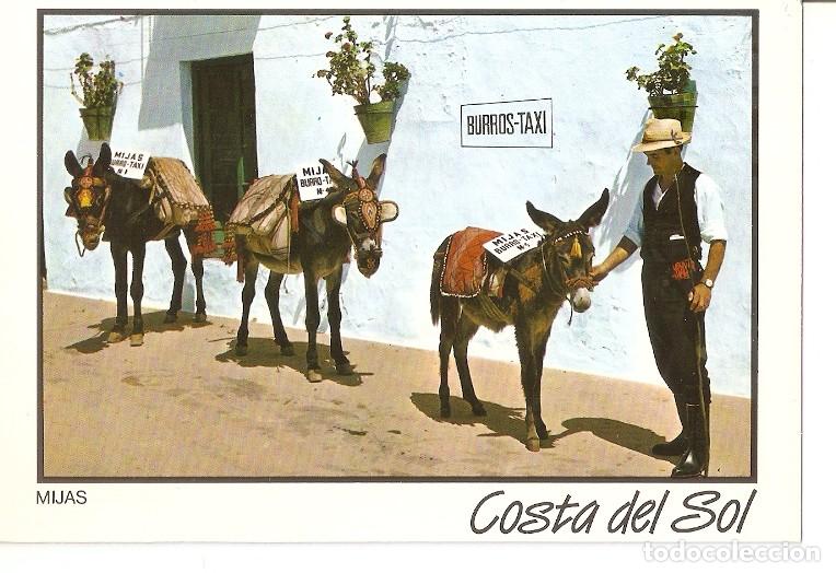 Postkarten: Postal 049609 : Costa del Sol. Mijas. Parada de Burros Taxi - Varios