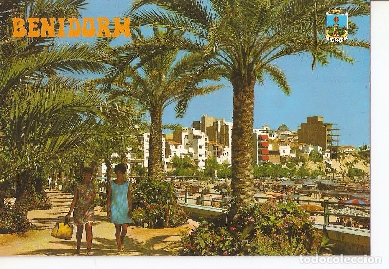Postales: Postal 050048 : Benidorm (Espa&ntilde;a). Parque de Elche - Varios