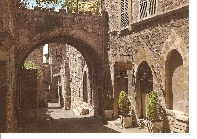 Postais: Postal 050101 : Assisi Via S. Gregorio - Varios