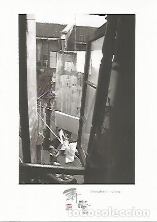 Postales: POSTAL 55717: SHANGHAI - Varios - Foto 1