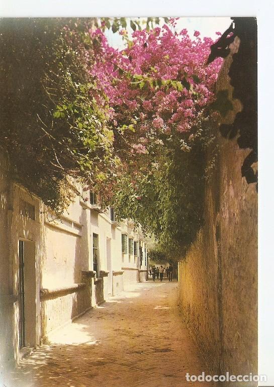 Postais: Postal 050219 : Sevilla. Barrio Santa Cruz. Callejon del Agua - Varios