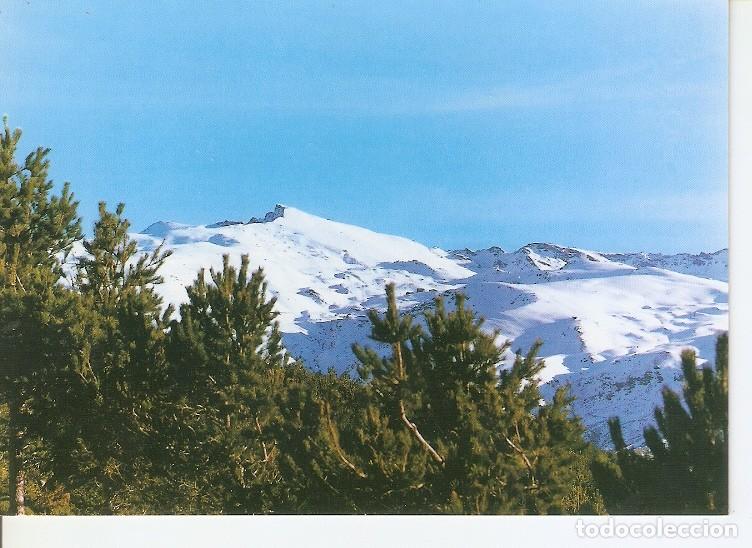 Postais: Postal 050249 : Granada. Sierra Nevada. Pico del Veleta - Varios
