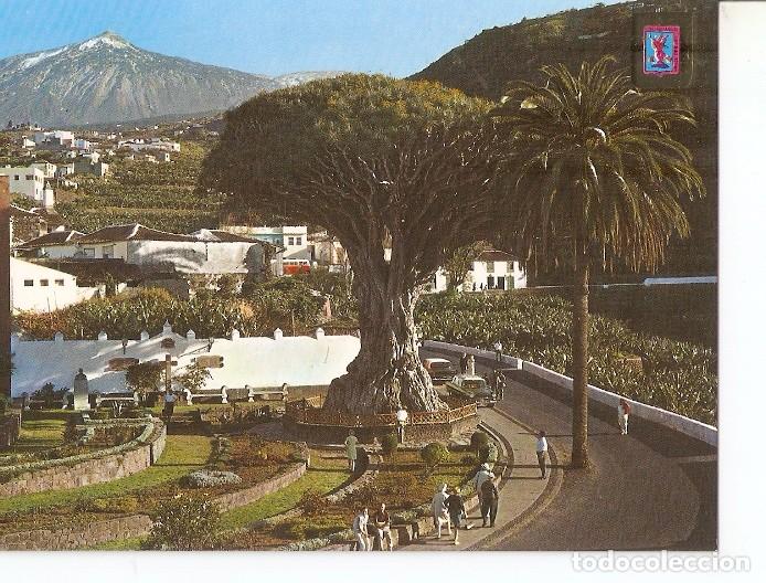 Postais: Postal 050345 : Icod de los Vinos (Tenerife). El Drago Milenario - Varios