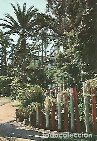 Postais: POSTAL 55824: ELCHE. Parque Municipal - Varios