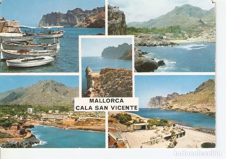 Postcards: Postal 050452 : Cala San Vicente (Mallorca) - Varios