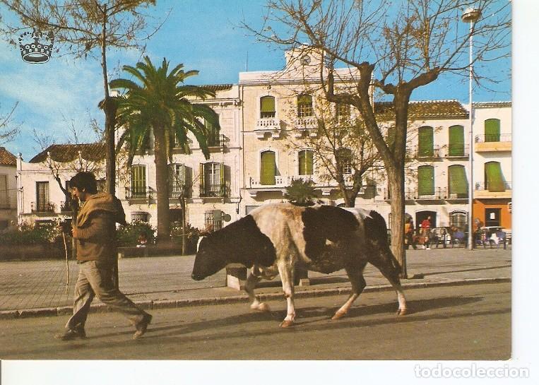 Postcards: Postal 050491 : Coin (Malaga). Estampa tipica - Varios